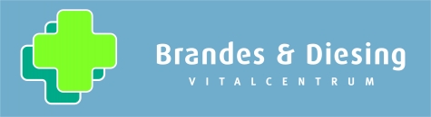 LOGO_Brandes & Diesing.jpg