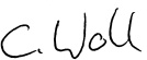 unterschrift c.woll unterschrift.jpg